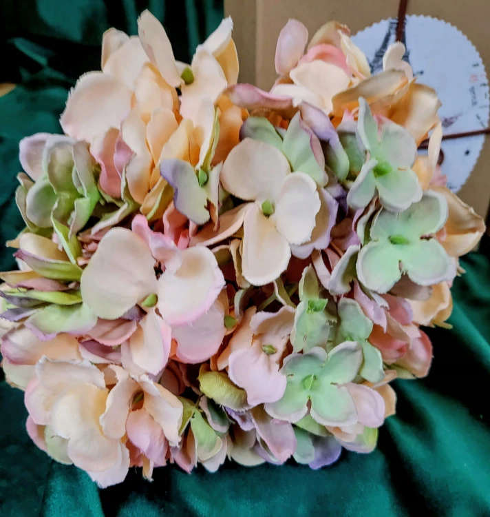 6fc27e04847d2782cda6db4a8d0a547a