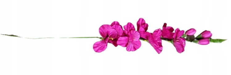 f0a7ae93560ae43cf1de8b6310f0a334