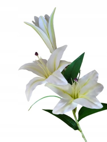 bb5d841d0cba758c411233f21f61848d