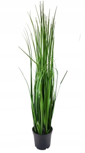 d09c0014fe966bcc4a9e7ad50d2cffe0