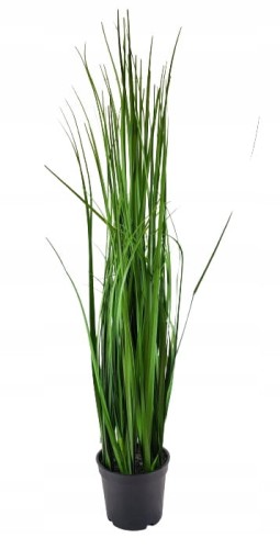 9d0c98f6e4eac46015f4c783d1ca74d1