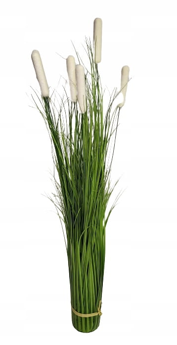 9346089eb468a31f8c65eb2a17acb06c