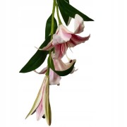 f5d98706d1664849b2b1026a0189b7c6