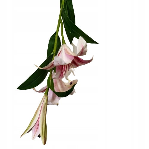 3fd97250682c9608ef7256eca6a6adf5