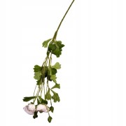 04b45df52561b2a8c66b4abf1a1f50e3