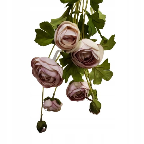 1a1a42639c9d55eea171b455c065ea4e