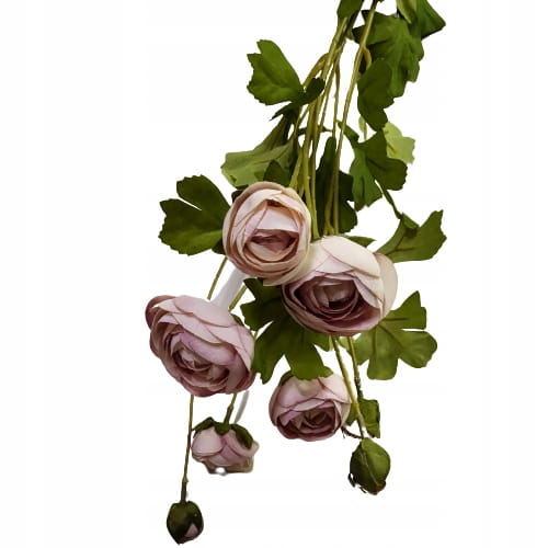 b8be583e85c76dcedbae0328e0aae49c