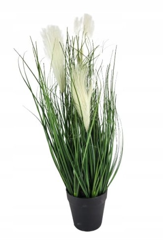 85aa2acf96e1637cd7382eff8b9d5855