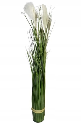 0264e48f9054dcad0cca5863a165a099