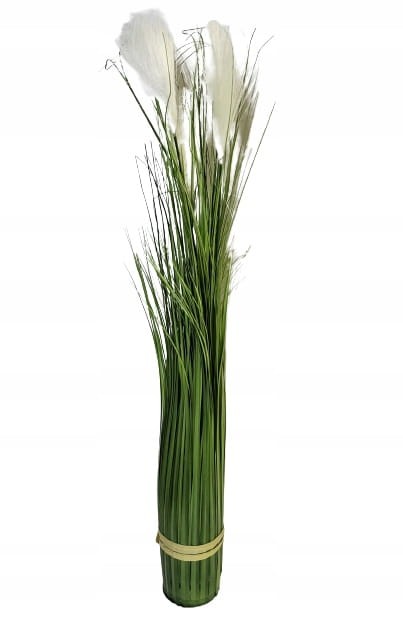 0264e48f9054dcad0cca5863a165a099