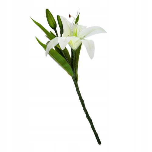 7496210aa9288422068b98e2d9444158