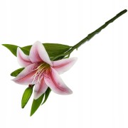 99c800c62e39f767ff5df267a291a879