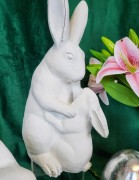 775b9013b7d650630de569478032eff4