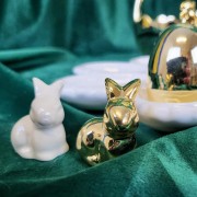 0e5b13c34253d53a4a65e429c7d8904c