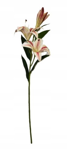 145fdf7b0092e829ae99bd80250960df