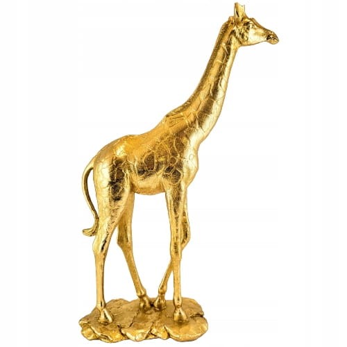 f0212cc6204894146c0bb0ad36074165