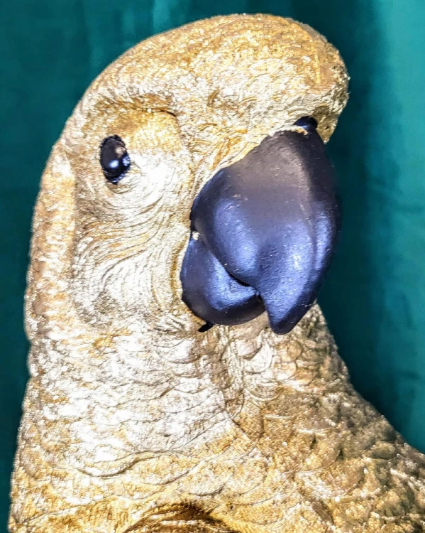 758aba758b1a2817248242e5976a1b4e