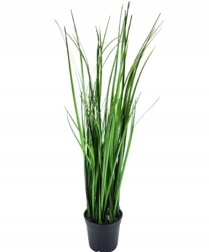 003e6fd26f68c719b651e31ede58eb3c