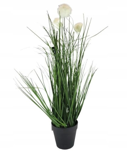 1c4b9fea017ecc71dba9b92d04dd9018