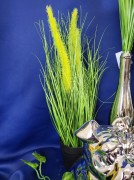 fa0b1658a47791ea7e9bafe9fb0bd00c