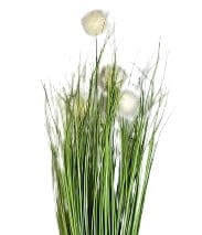 42d5780d27afd311a836b88327c77f97