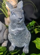 9e0a050a9556c99230f3c4a43d597517