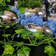 b6f279fa5d15462433a30144a5e68c17