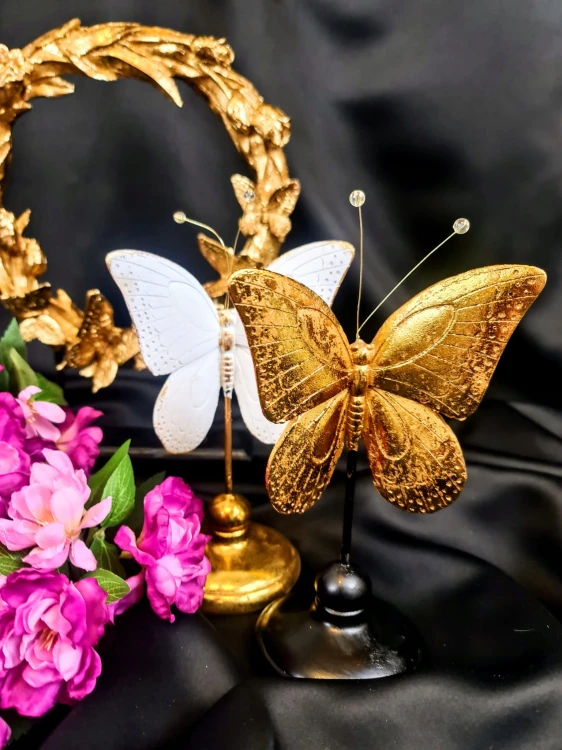 b99cf02d882285e8b3060fea2f8cb3ee