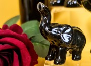 b24888c25373574b087f391e539bb463