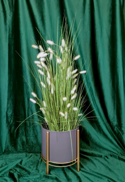 e2f71e3ddd7a0accce45a2a1314f209e