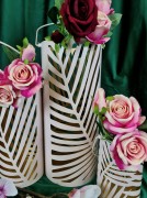 bddef4cfe13b007c35a79f67acc2fbd0