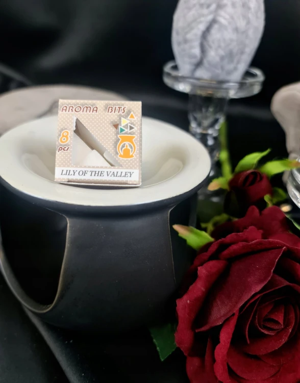 0b9abba0c6c6e253ec9f55c56b0bc512