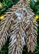 56cc908eb89a497c1792d4ddbc5c854e