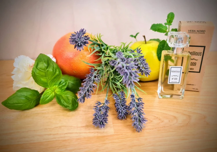 6e30e977066ad474b3e27537d22a6b7e