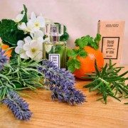 6729c931707ab7e17f96ffd2ea49b987