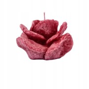 6d52c220efbb1c20f4de40fdd9fd979c