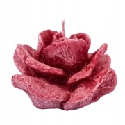 39f7f4d25c04c87a61962692f516919f