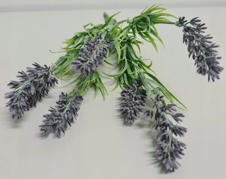 9dc3cc40d7857209767cb54f2894a948