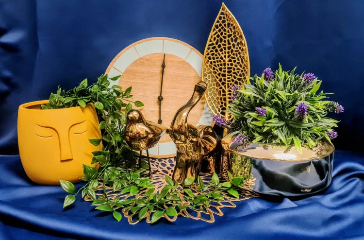 23645efb2a706a48ccc01db08f276a98