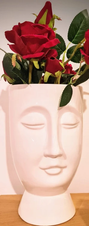 29a72c116f638dc1a9a5d6399b73f546