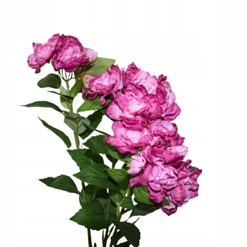 08fda68ca2f854454c68739007523cde