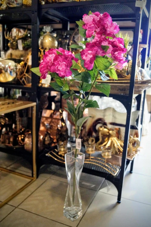 df62b5c516bd6918611636d731ec474b