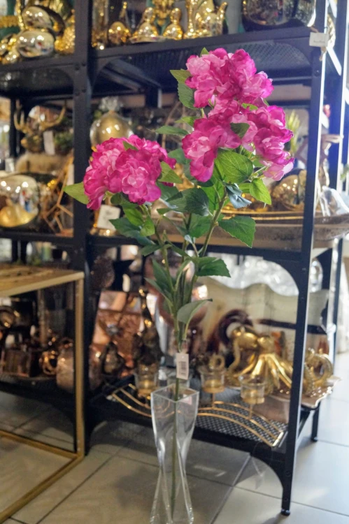 456de352ce2f9e6cf4aaeaf72ec431ec