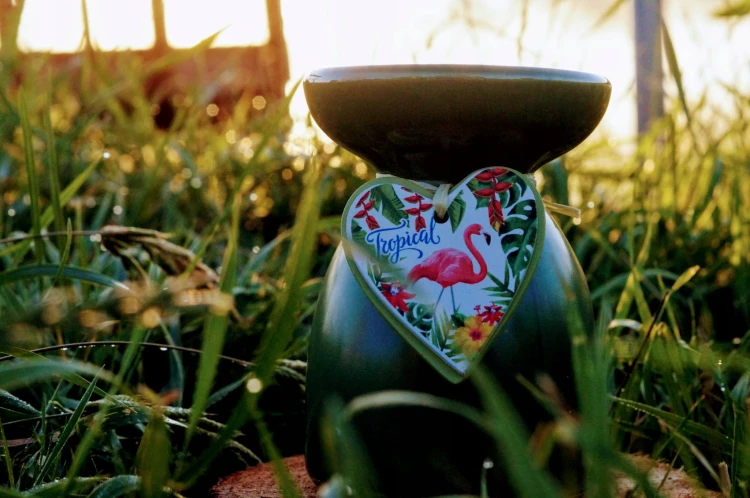 918d26bd87e9b9b3e8091eaf65156149