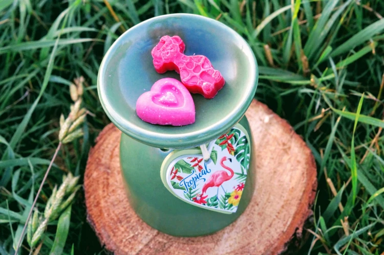 f7131b20083f04f94d07cccaf8a33d76