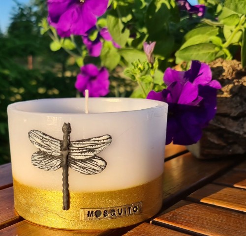 a5a6e3be2b8f5d68a3f6bcf597580fe1