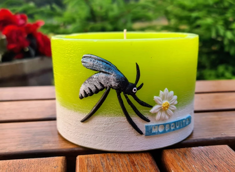 c30699d9f8fd44de2219a320a162a263