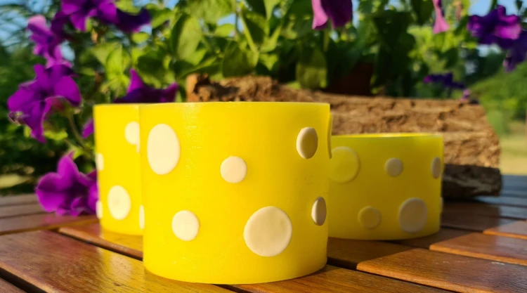 a485010fe5e5989964253afb33665d8f