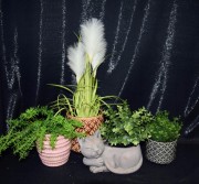 a8cd2bc20eb0a756e1cafe14c2fc9af7