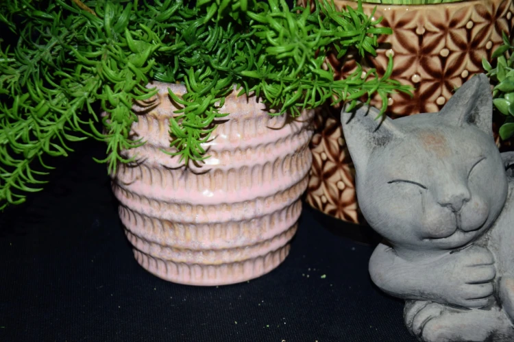 9971bf25a368acabaebc3bc8a9e5c1c5